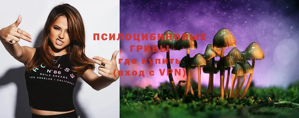 соль курить ск Аркадак