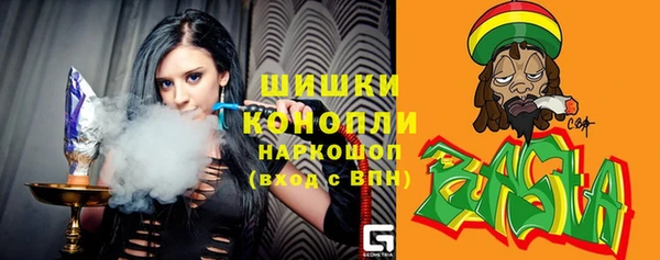 молекула духа Арсеньев