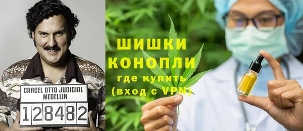 молекула духа Арсеньев