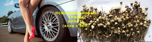 спиды Балахна