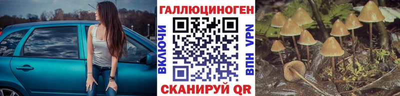 Галлюциногенные грибы Psilocybine cubensis  наркота  shop состав  Саянск  OMG рабочий сайт 