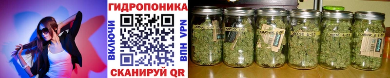 Шишки марихуана THC 21%  Саянск 
